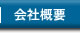 ЊTv